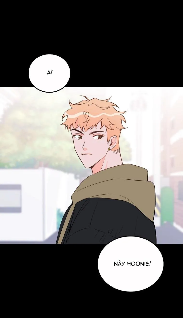 Có Chuyện Gì Xảy Ra với Sự Nổi Tiếng Của Tôi Thế? Chapter 49 Trang 5