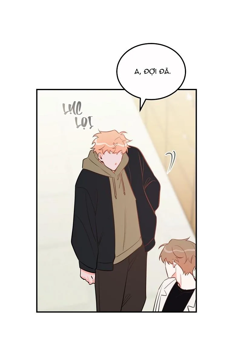 Có Chuyện Gì Xảy Ra với Sự Nổi Tiếng Của Tôi Thế? Chapter 51 Trang 29