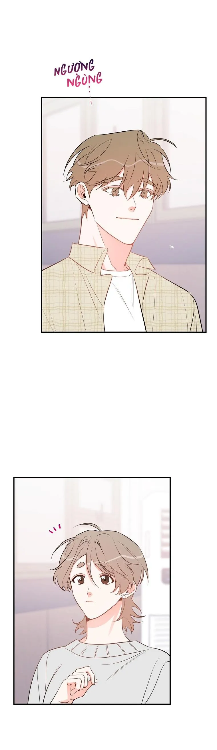 Có Chuyện Gì Xảy Ra với Sự Nổi Tiếng Của Tôi Thế? Chapter 52 Trang 3