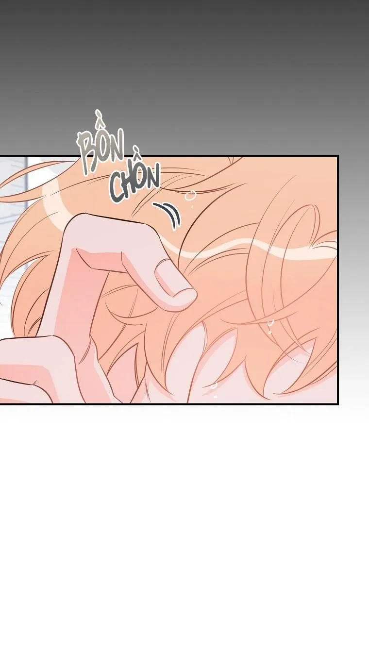 Có Chuyện Gì Xảy Ra với Sự Nổi Tiếng Của Tôi Thế? Chapter 54 Trang 9