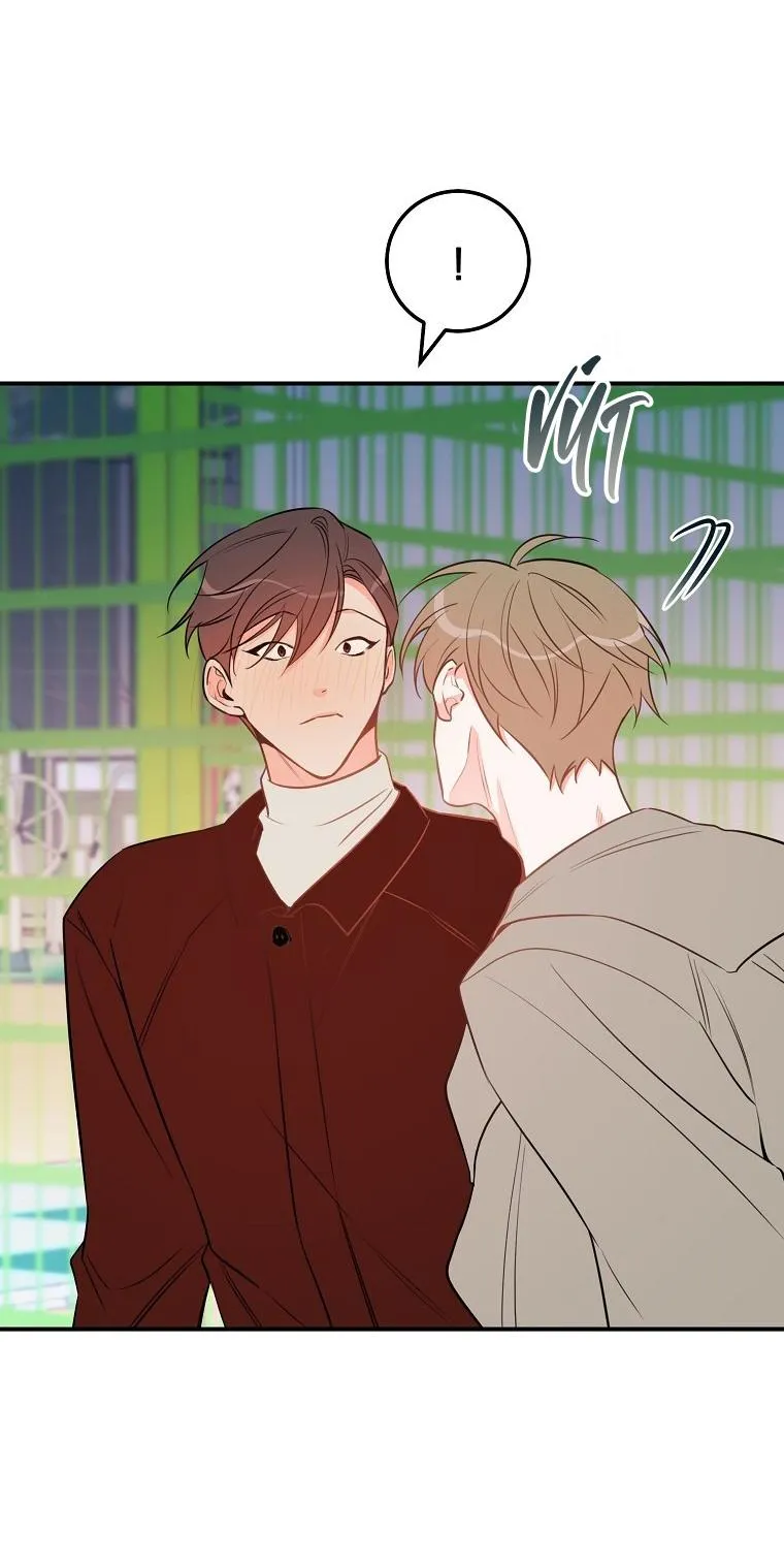 Có Chuyện Gì Xảy Ra với Sự Nổi Tiếng Của Tôi Thế? Chapter 55 Trang 4