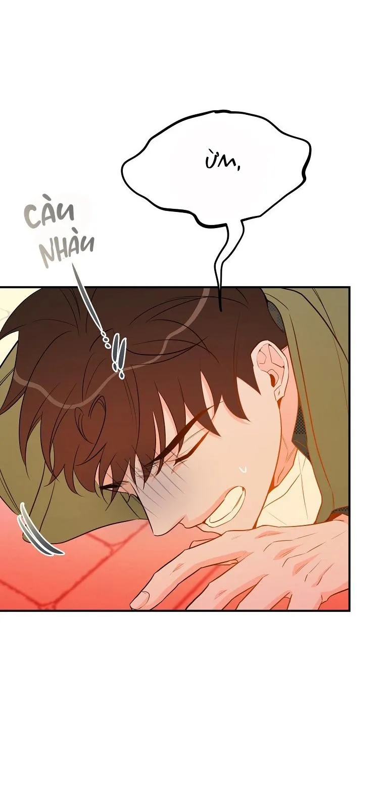 Có Chuyện Gì Xảy Ra với Sự Nổi Tiếng Của Tôi Thế? Chapter 56 Trang 35