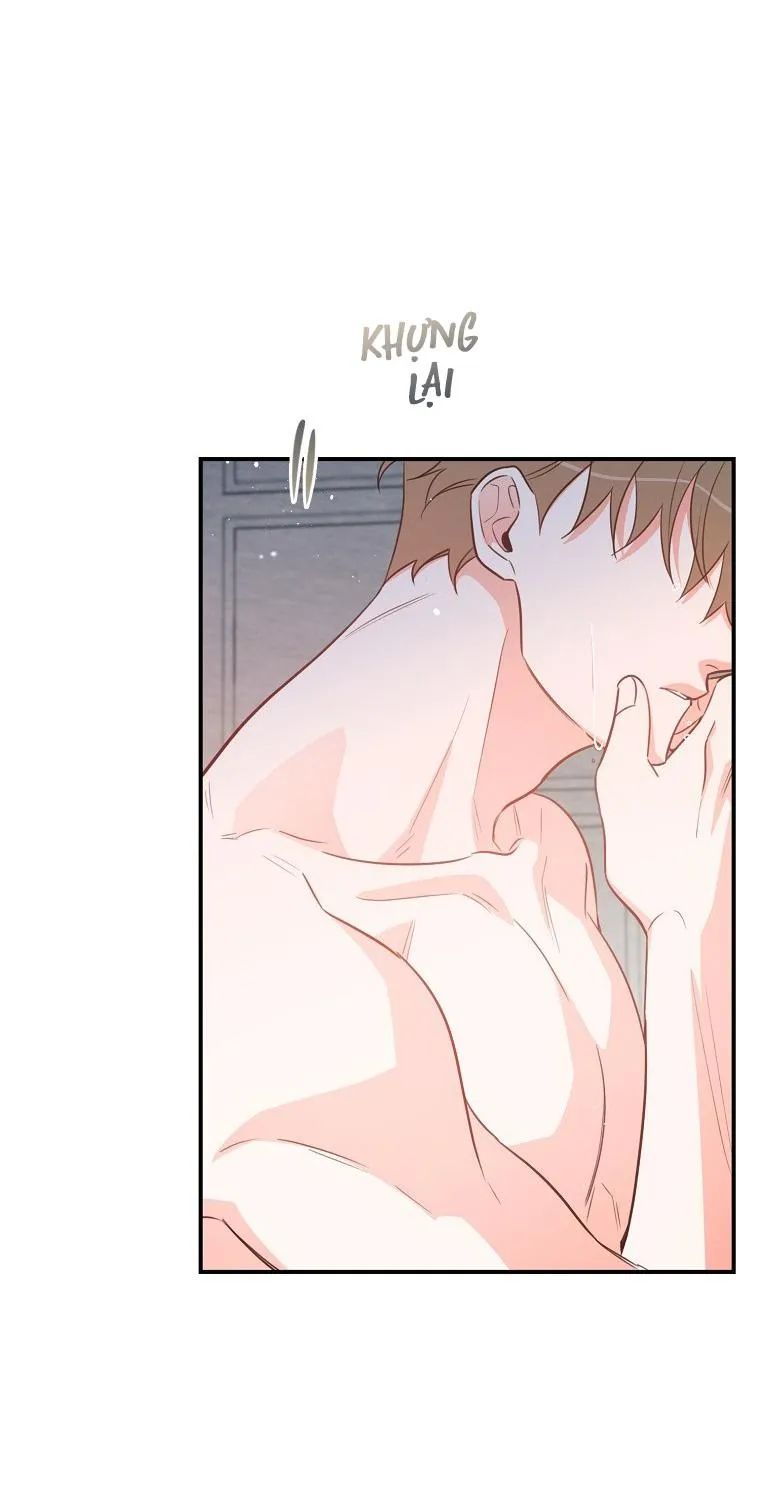 Có Chuyện Gì Xảy Ra với Sự Nổi Tiếng Của Tôi Thế? Chapter 57 Trang 13