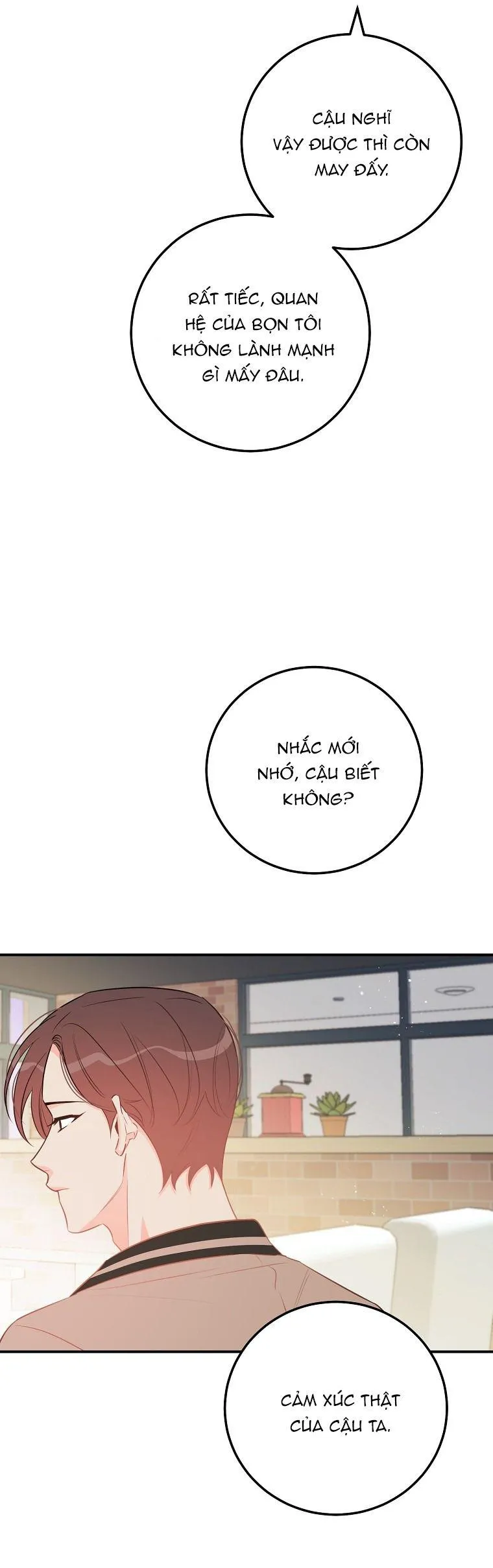 Có Chuyện Gì Xảy Ra với Sự Nổi Tiếng Của Tôi Thế? Chapter 66 Trang 19