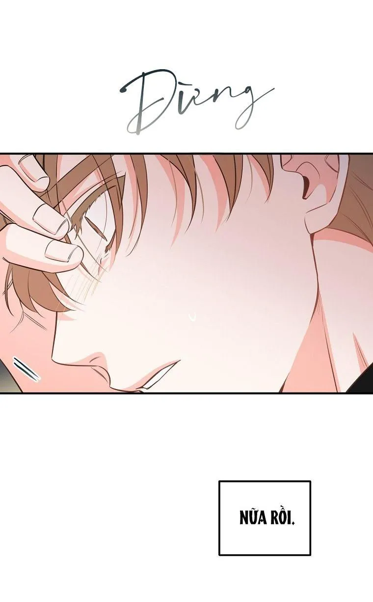 Có Chuyện Gì Xảy Ra với Sự Nổi Tiếng Của Tôi Thế? Chapter 67 Trang 15