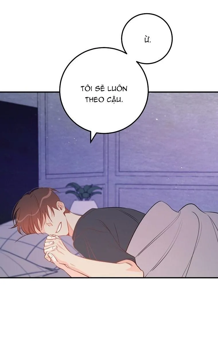 Có Chuyện Gì Xảy Ra với Sự Nổi Tiếng Của Tôi Thế? Chapter 67 Trang 51