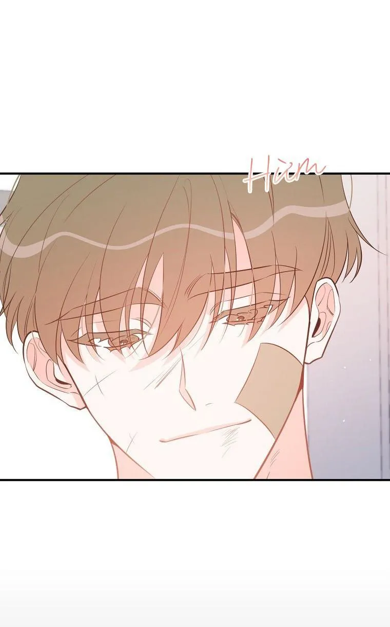 Có Chuyện Gì Xảy Ra với Sự Nổi Tiếng Của Tôi Thế? Chapter 69 Trang 25