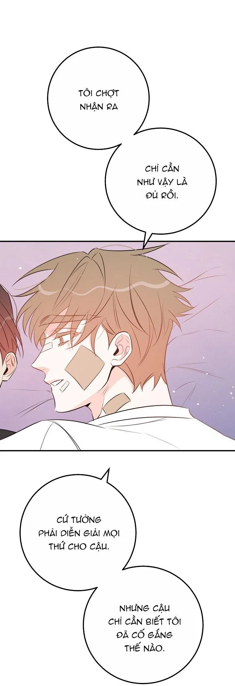 Có Chuyện Gì Xảy Ra với Sự Nổi Tiếng Của Tôi Thế? Chapter 70 Trang 11