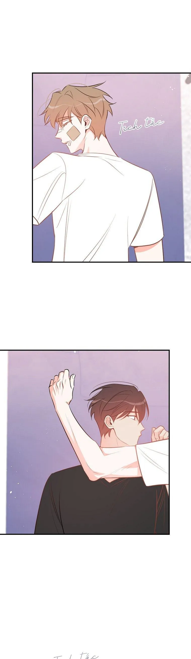 Có Chuyện Gì Xảy Ra với Sự Nổi Tiếng Của Tôi Thế? Chapter 70 Trang 13