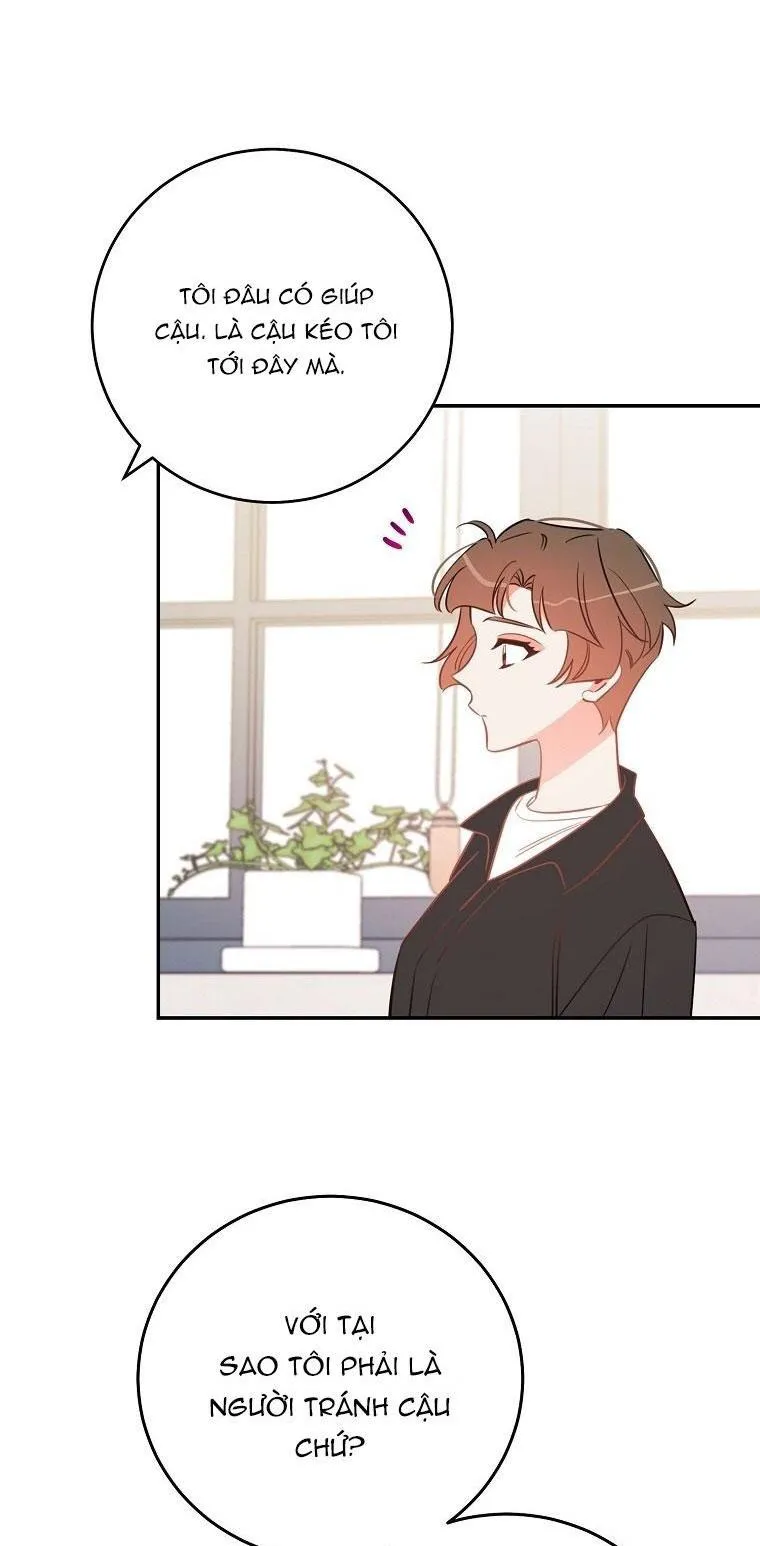 Có Chuyện Gì Xảy Ra với Sự Nổi Tiếng Của Tôi Thế? Chapter 74 Trang 19