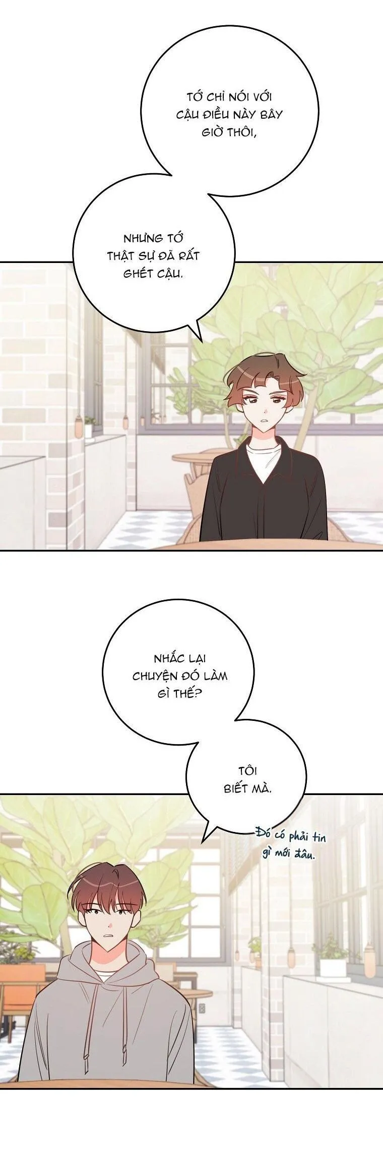 Có Chuyện Gì Xảy Ra với Sự Nổi Tiếng Của Tôi Thế? Chapter 74 Trang 23