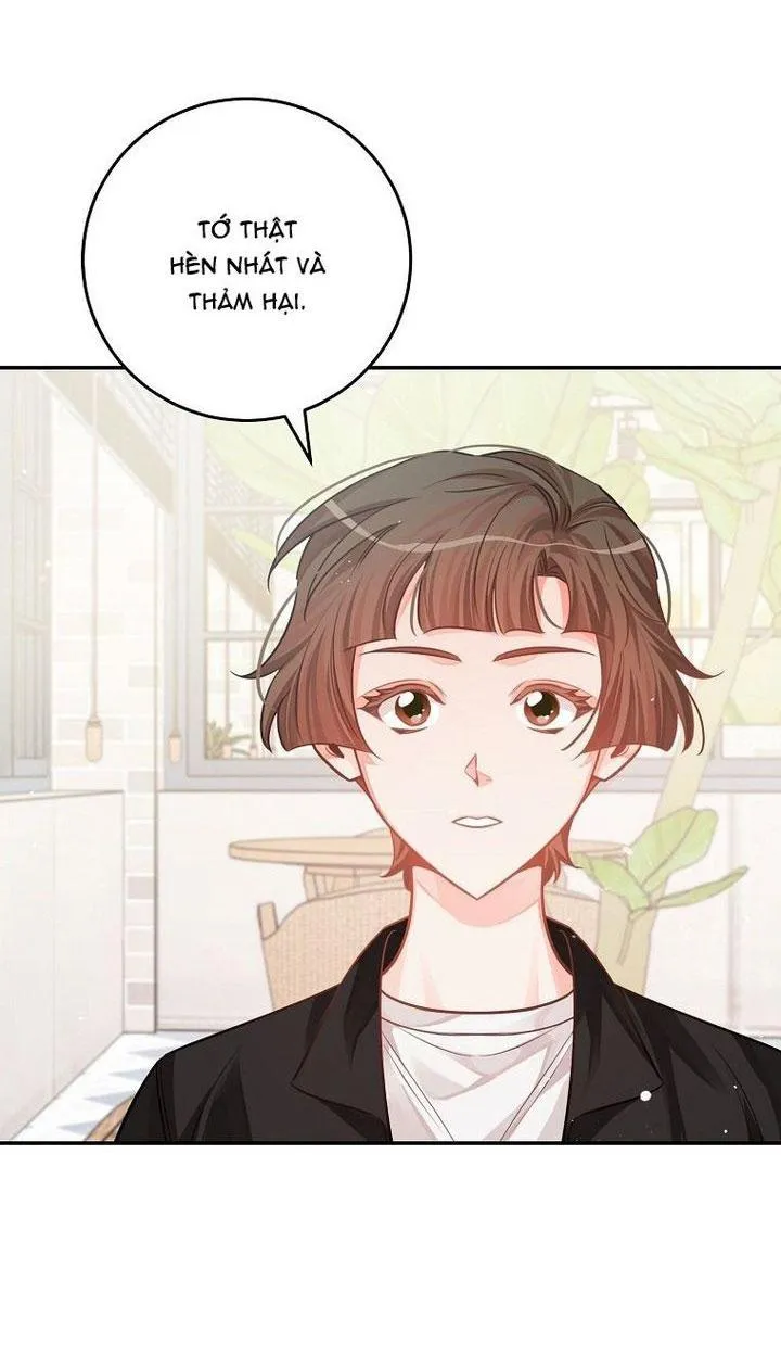 Có Chuyện Gì Xảy Ra với Sự Nổi Tiếng Của Tôi Thế? Chapter 75 Trang 51