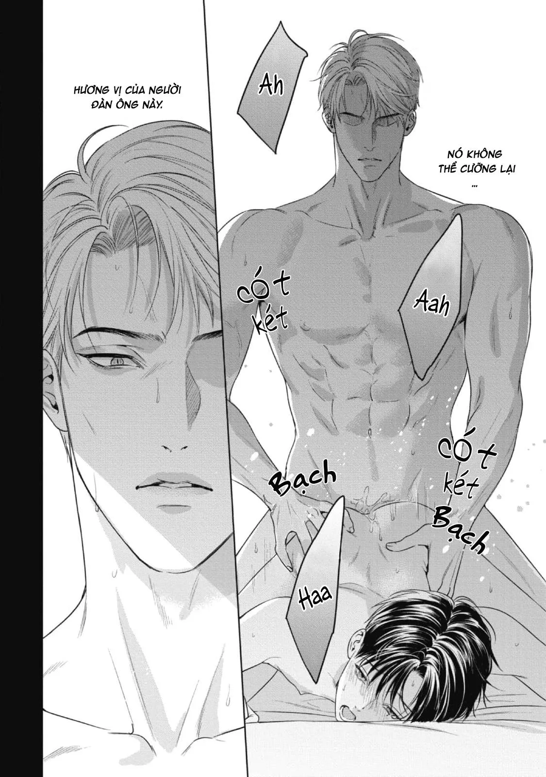 Cô Dâu Của Alpha Chapter 19 Trang 4