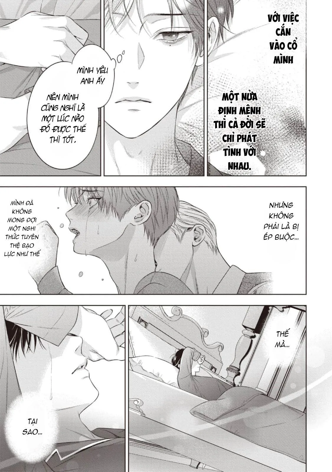 Cô Dâu Của Alpha Chapter 22 Trang 14