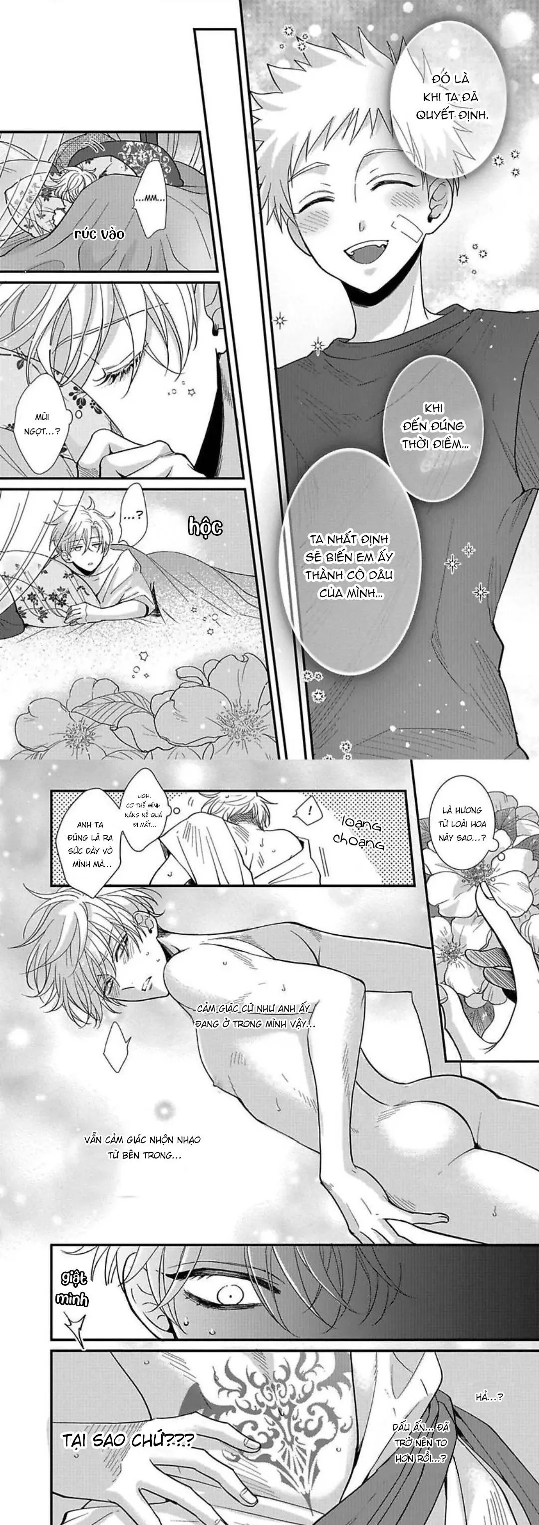 Cô Dâu Của Rồng Chapter 3 Trang 5