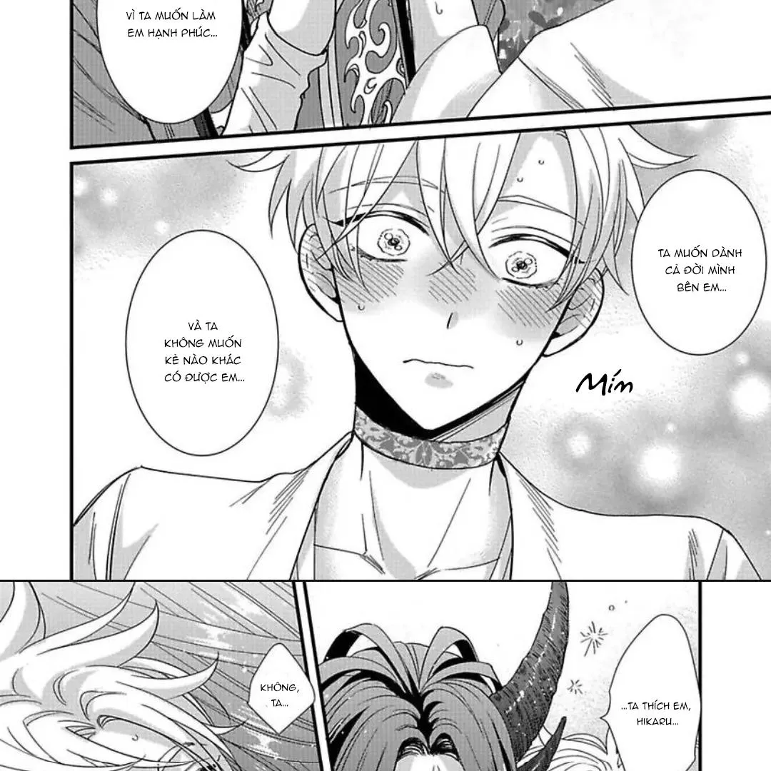 Cô Dâu Của Rồng Chapter 4 Trang 42