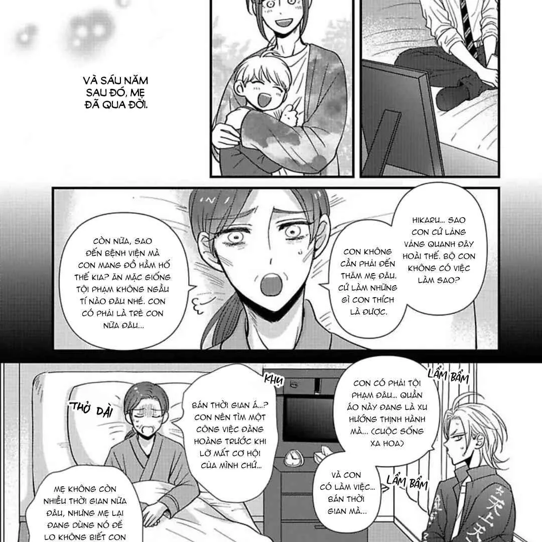 Cô Dâu Của Rồng Chapter 1 Trang 7