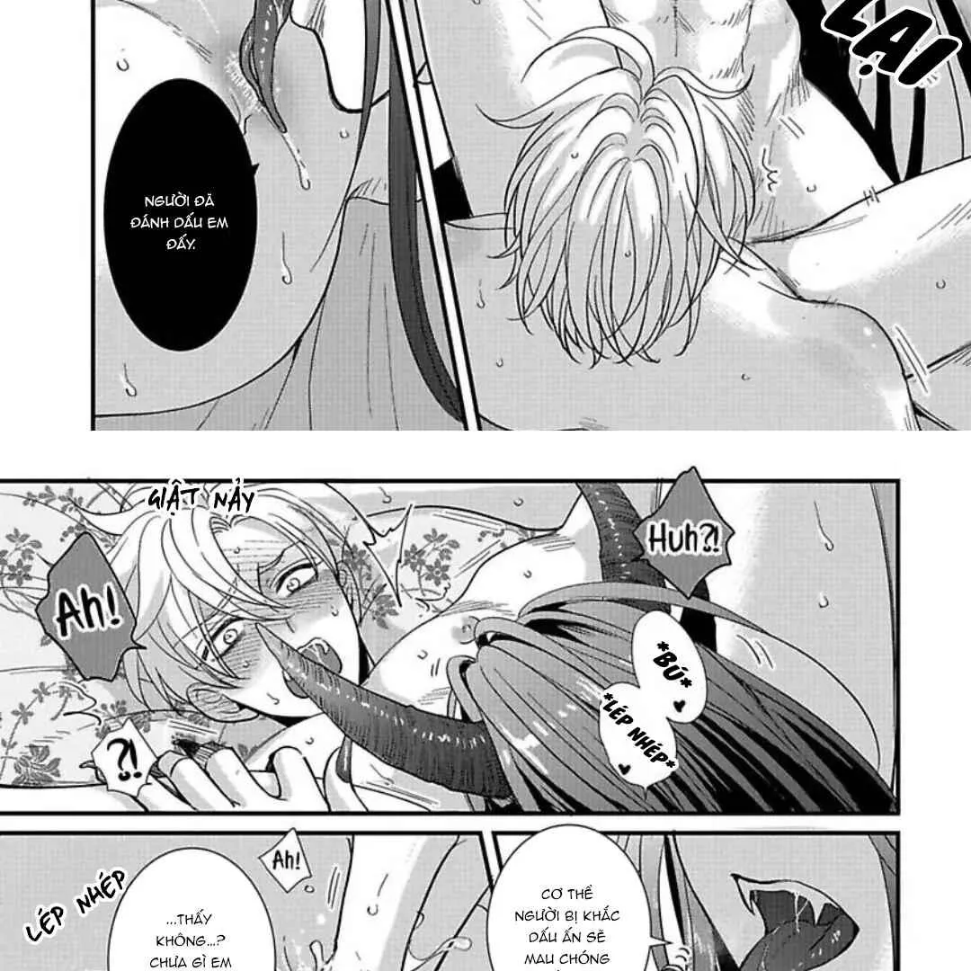 Cô Dâu Của Rồng Chapter 1 Trang 41