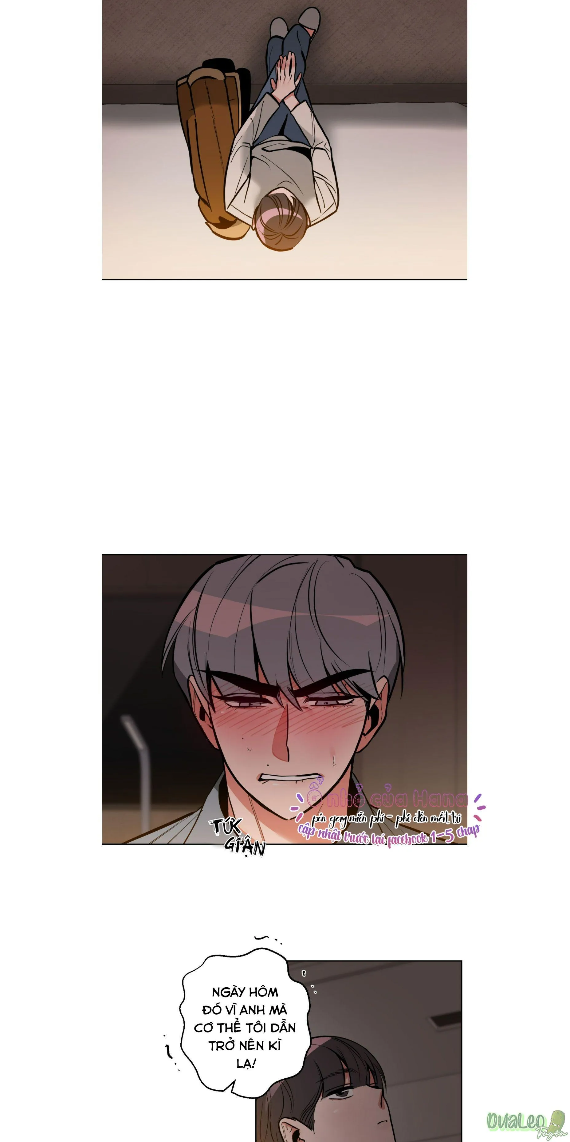 Cơ Thể Hoàn Mỹ Chapter 12 Trang 5