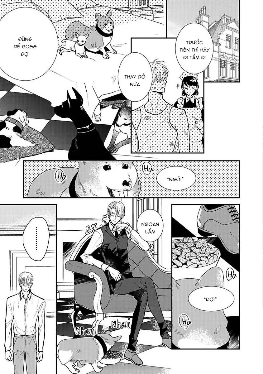 Tuyển tập dom/sub Chapter 10 Trang 3