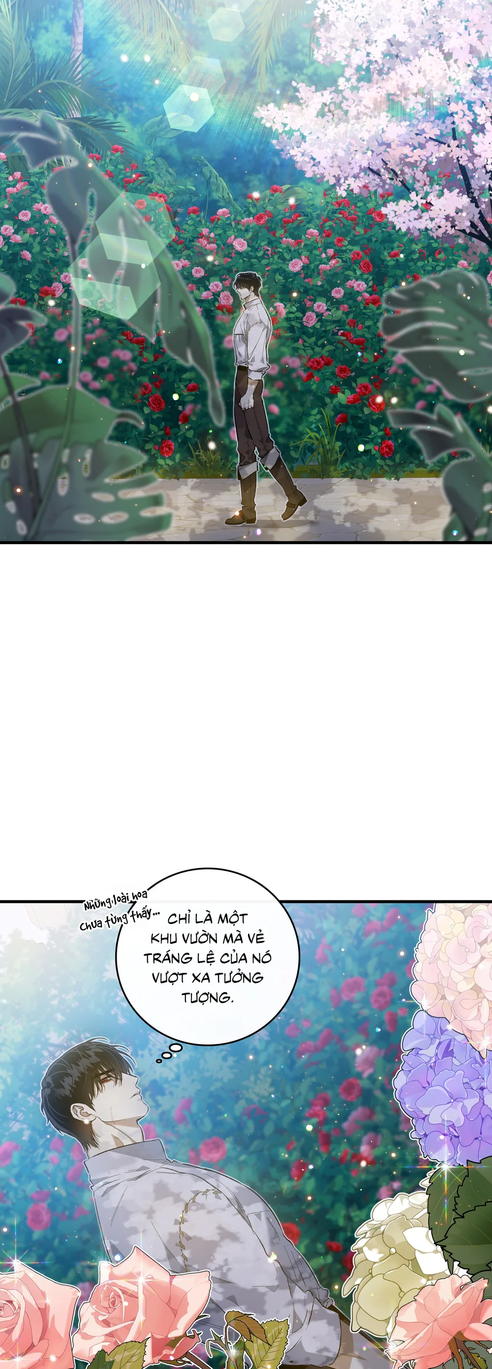 Con đường hoa trong đêm trắng Chapter 5 Trang 3