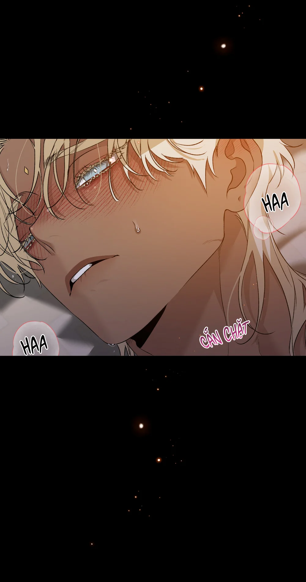 Con đường hoa trong đêm trắng Chapter 11 Trang 51