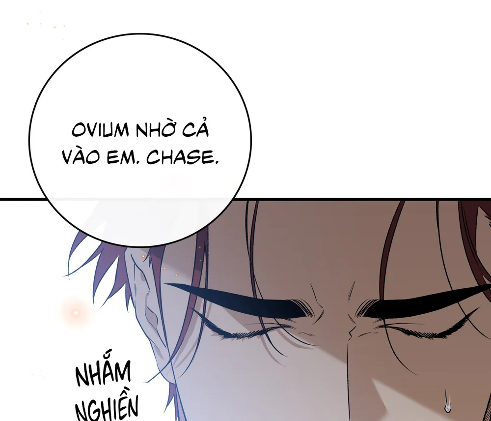 Con đường hoa trong đêm trắng Chapter 13 Trang 42