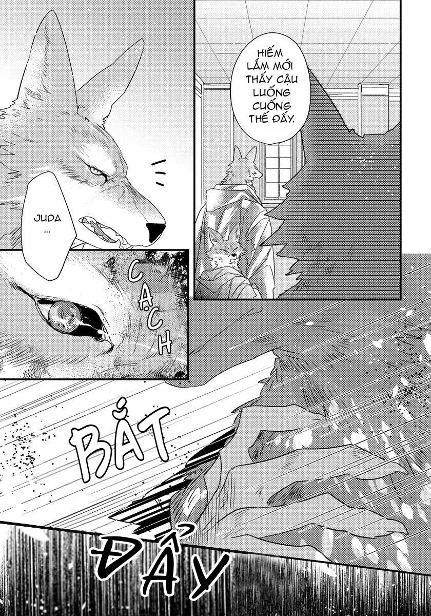 Con Lắc _ ABO Nhân Thú Chapter 3 Trang 14