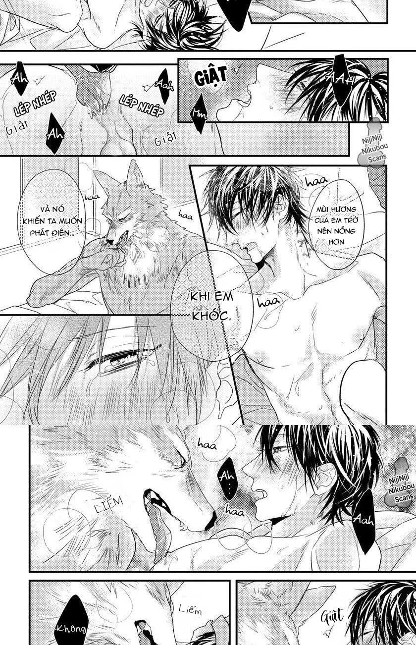 Con Lắc _ ABO Nhân Thú Chapter 4 Trang 3