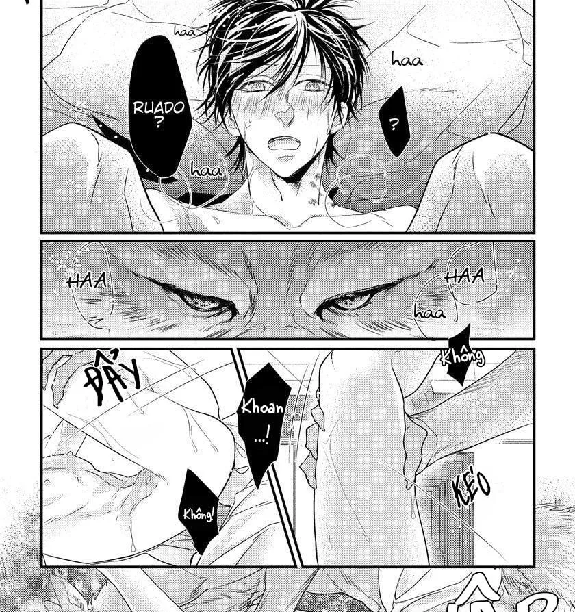 Con Lắc _ ABO Nhân Thú Chapter 4 Trang 8