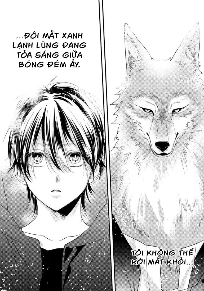 Con Lắc _ ABO Nhân Thú Chapter 1 Trang 11