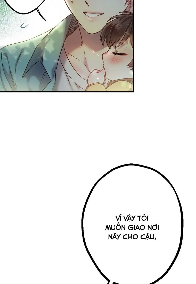 (END)CƠN MƯA MẬT NGỌT Chapter 3 Trang 67