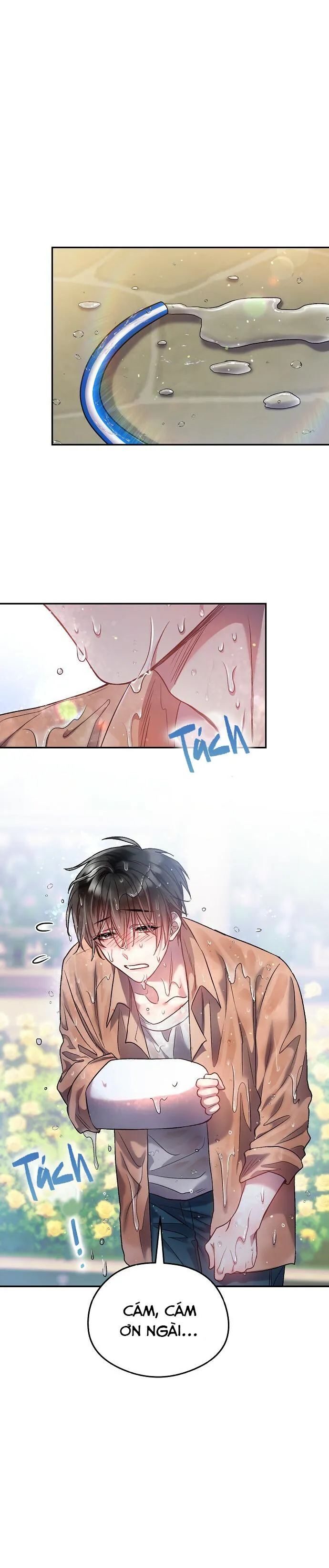 (END)CƠN MƯA MẬT NGỌT Chapter 11 Trang 17