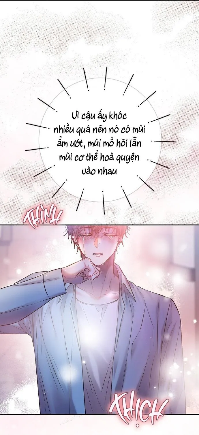 (END)CƠN MƯA MẬT NGỌT Chapter 45 Trang 27