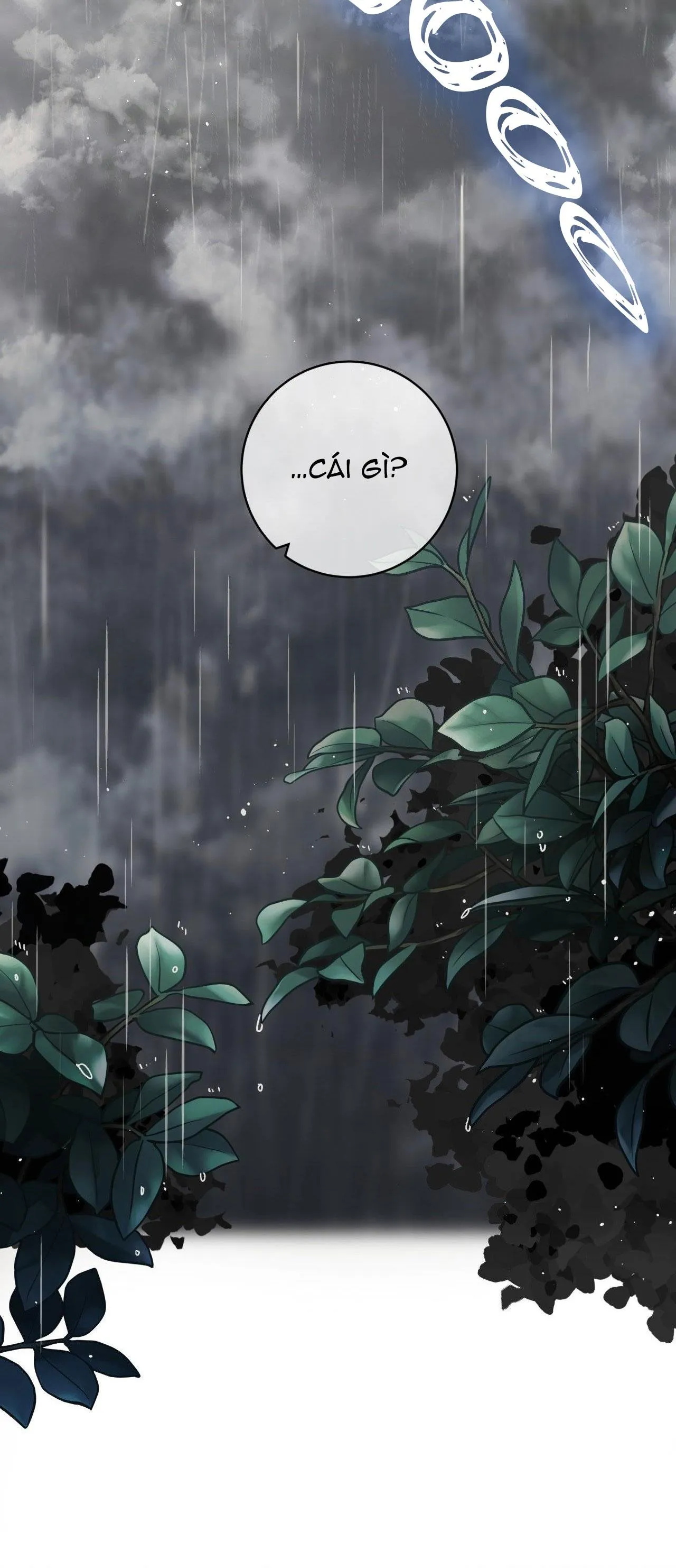 CƠN MƯA RÀO MÙA HẠ Chapter 42 Trang 55