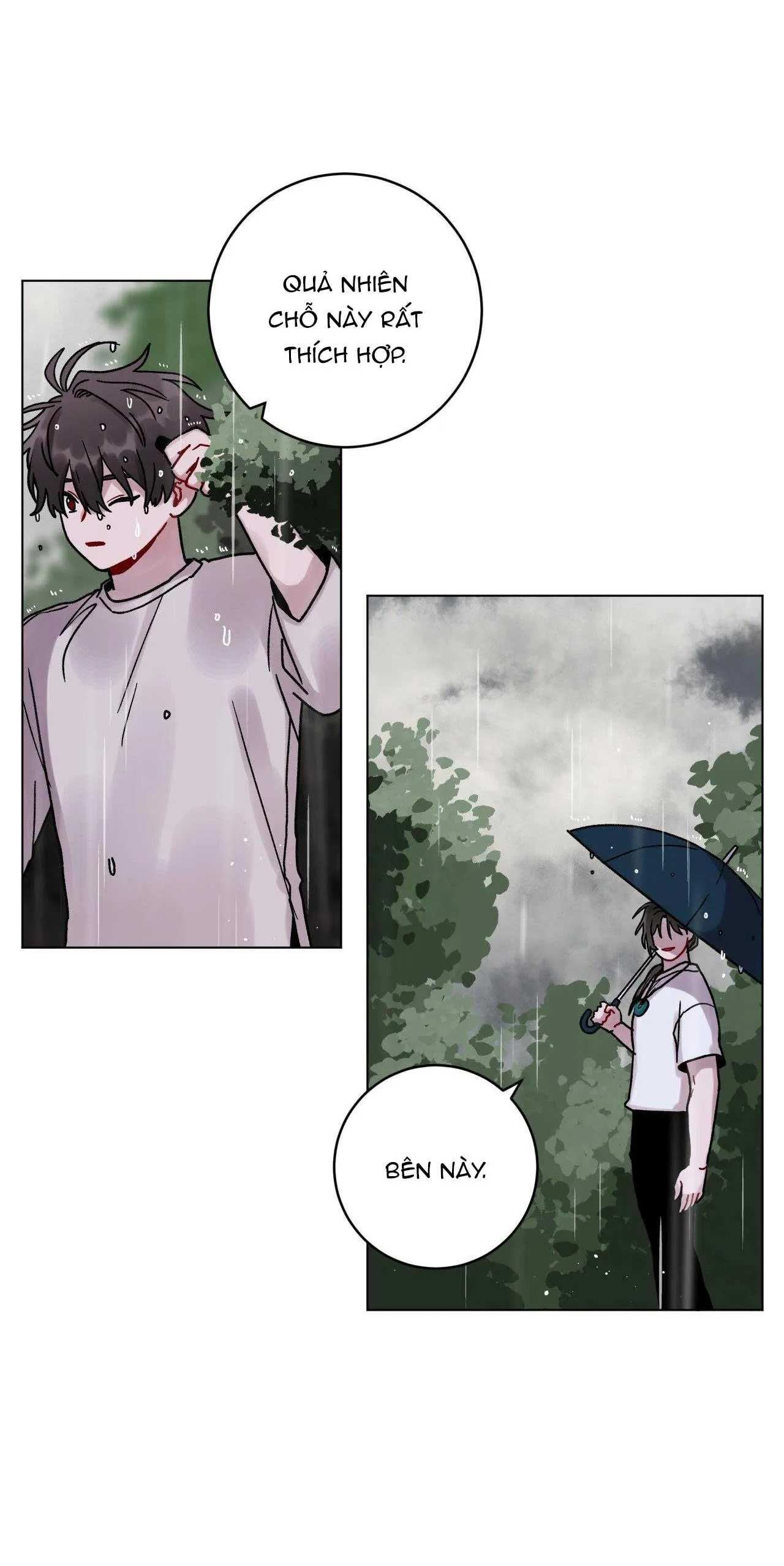 CƠN MƯA RÀO MÙA HẠ Chapter 45 Trang 49