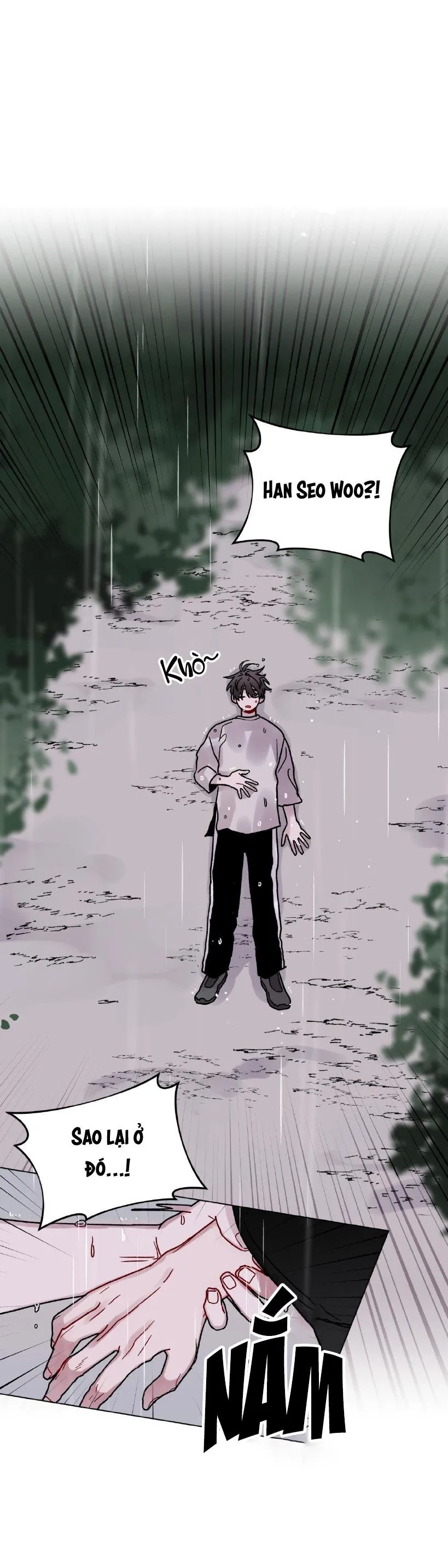 CƠN MƯA RÀO MÙA HẠ Chapter 46 Trang 19