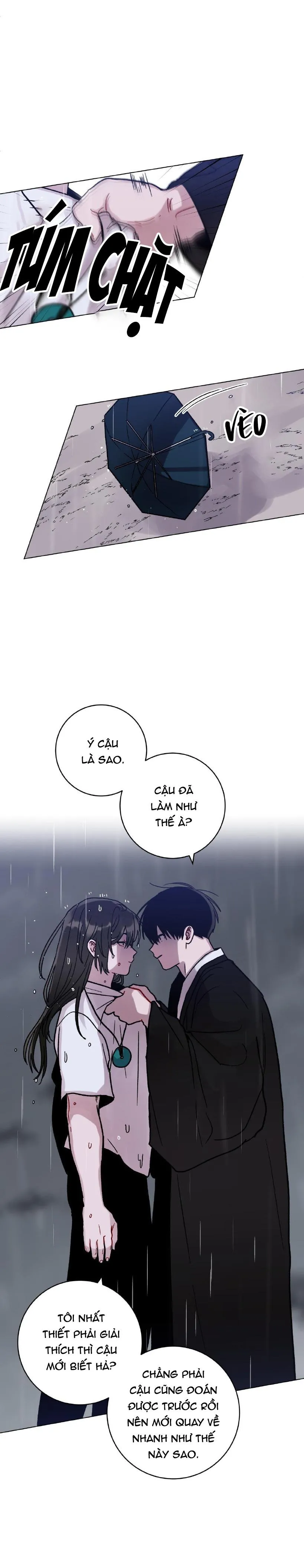 CƠN MƯA RÀO MÙA HẠ Chapter 46 Trang 21