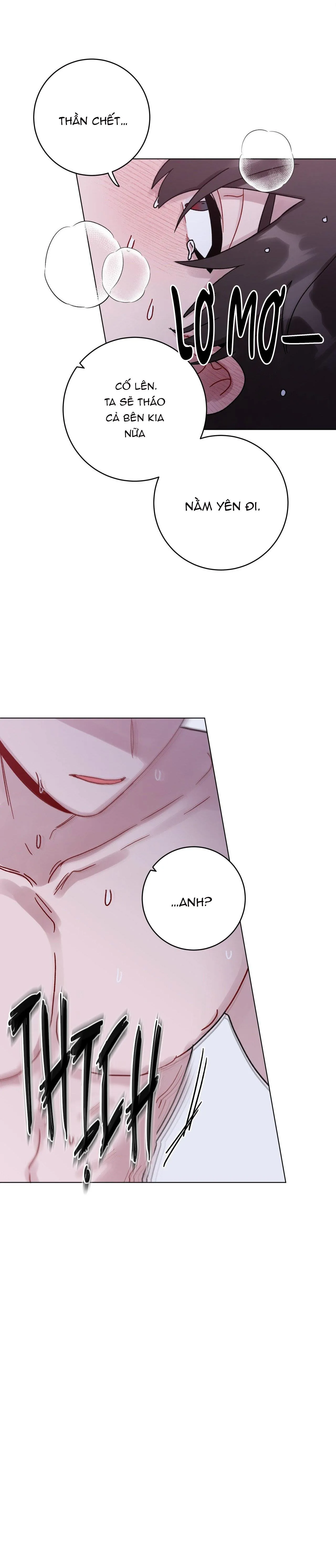 CƠN MƯA RÀO MÙA HẠ Chapter 48 Trang 20