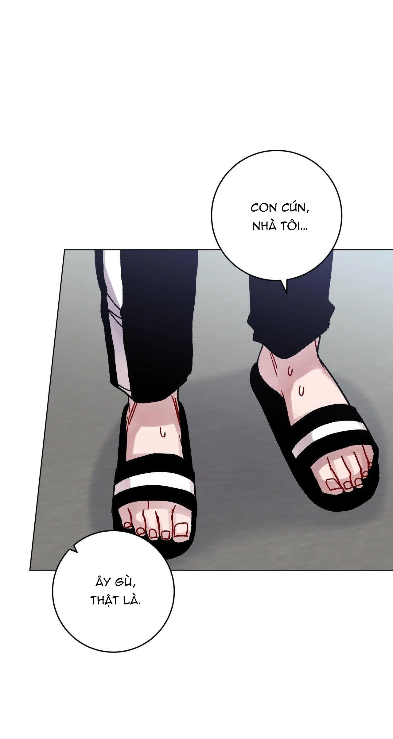 CƠN MƯA RÀO MÙA HẠ Chapter 51 Trang 13