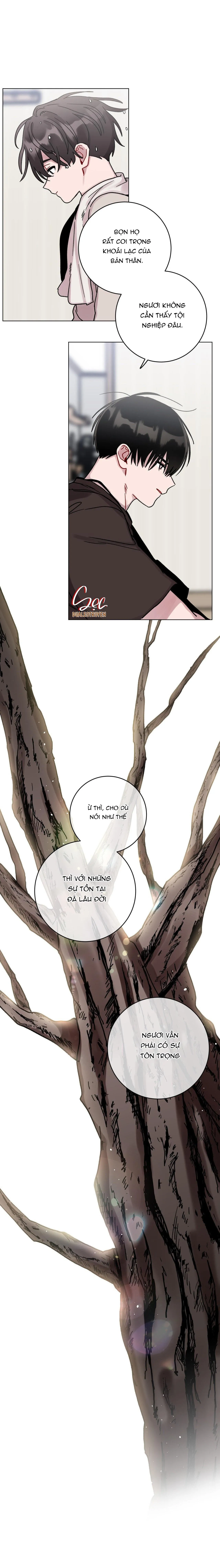 CƠN MƯA RÀO MÙA HẠ Chapter 63 Trang 26