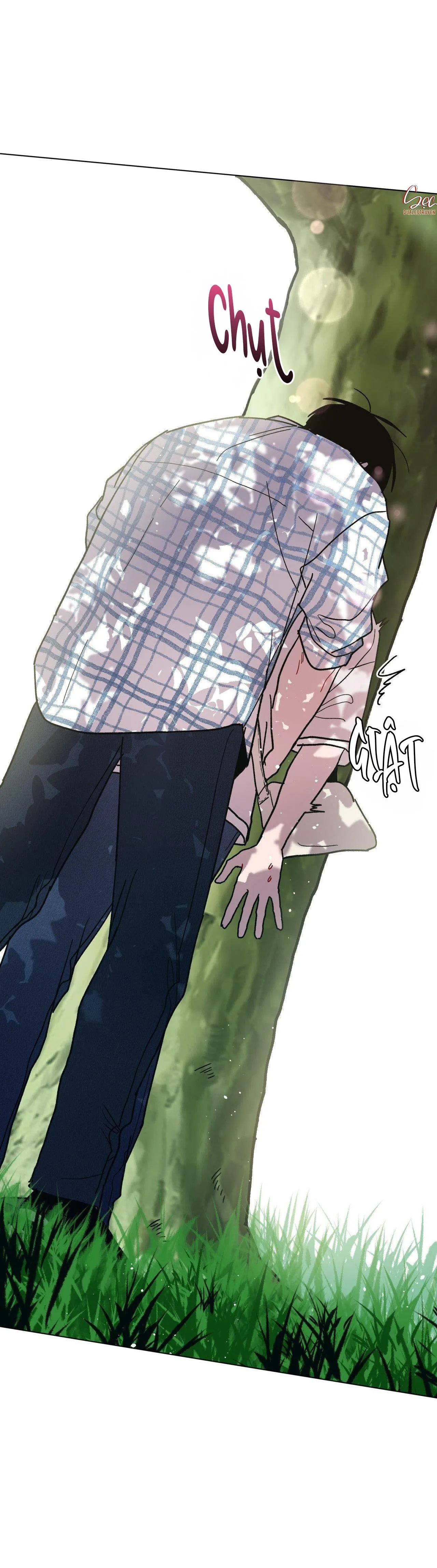 CƠN MƯA RÀO MÙA HẠ Chapter 69 Trang 41