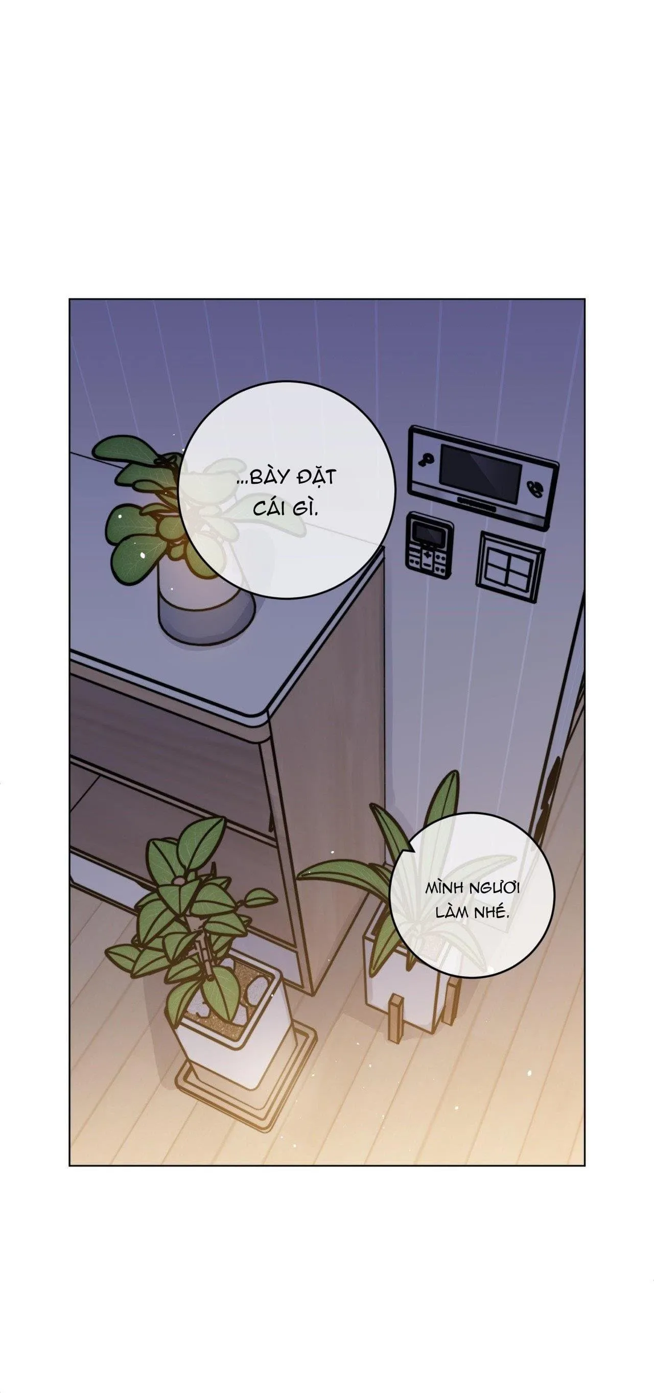 CƠN MƯA RÀO MÙA HẠ Chapter 72 Trang 16