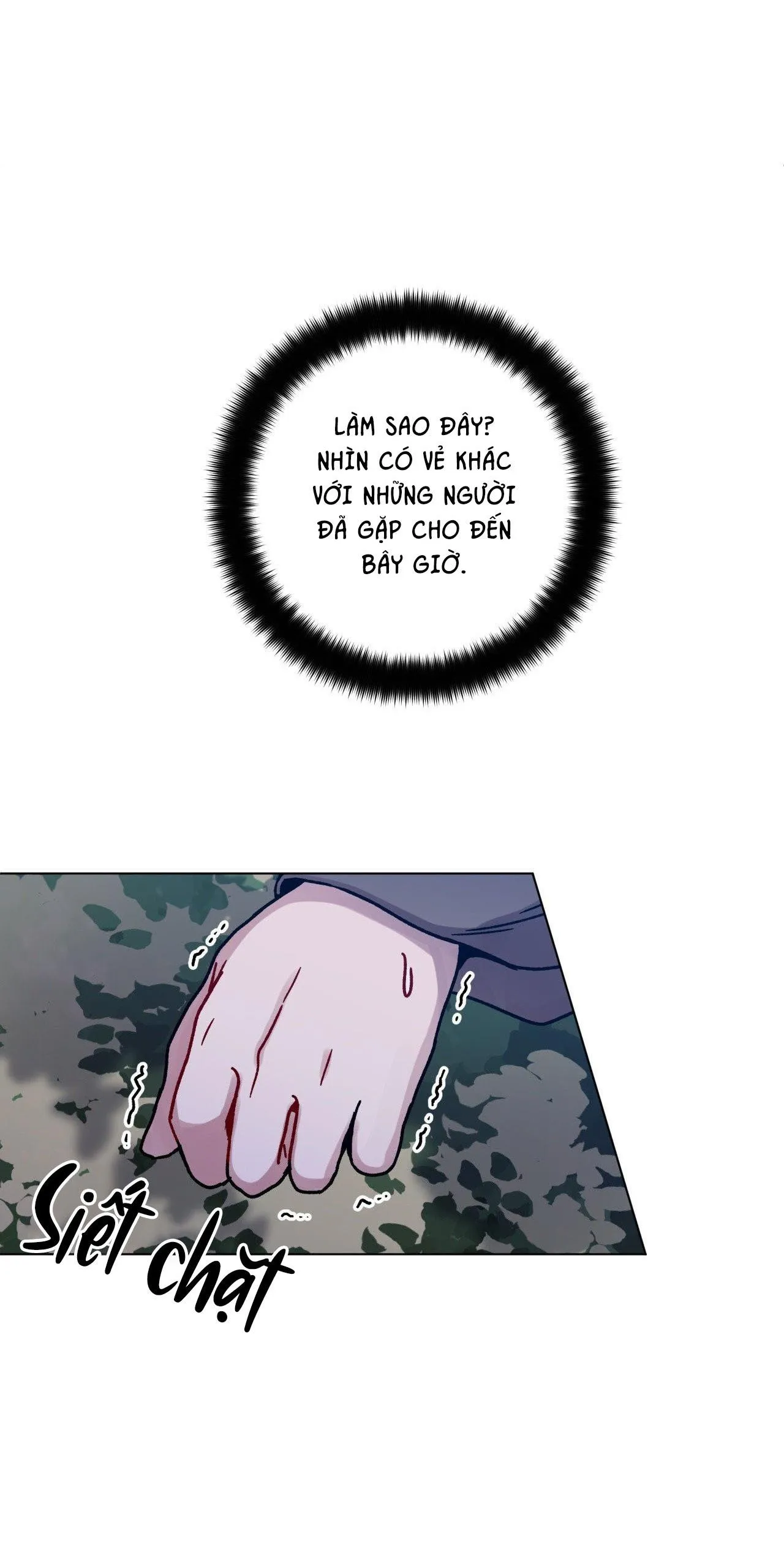 CƠN MƯA RÀO MÙA HẠ Chapter 81 Trang 5