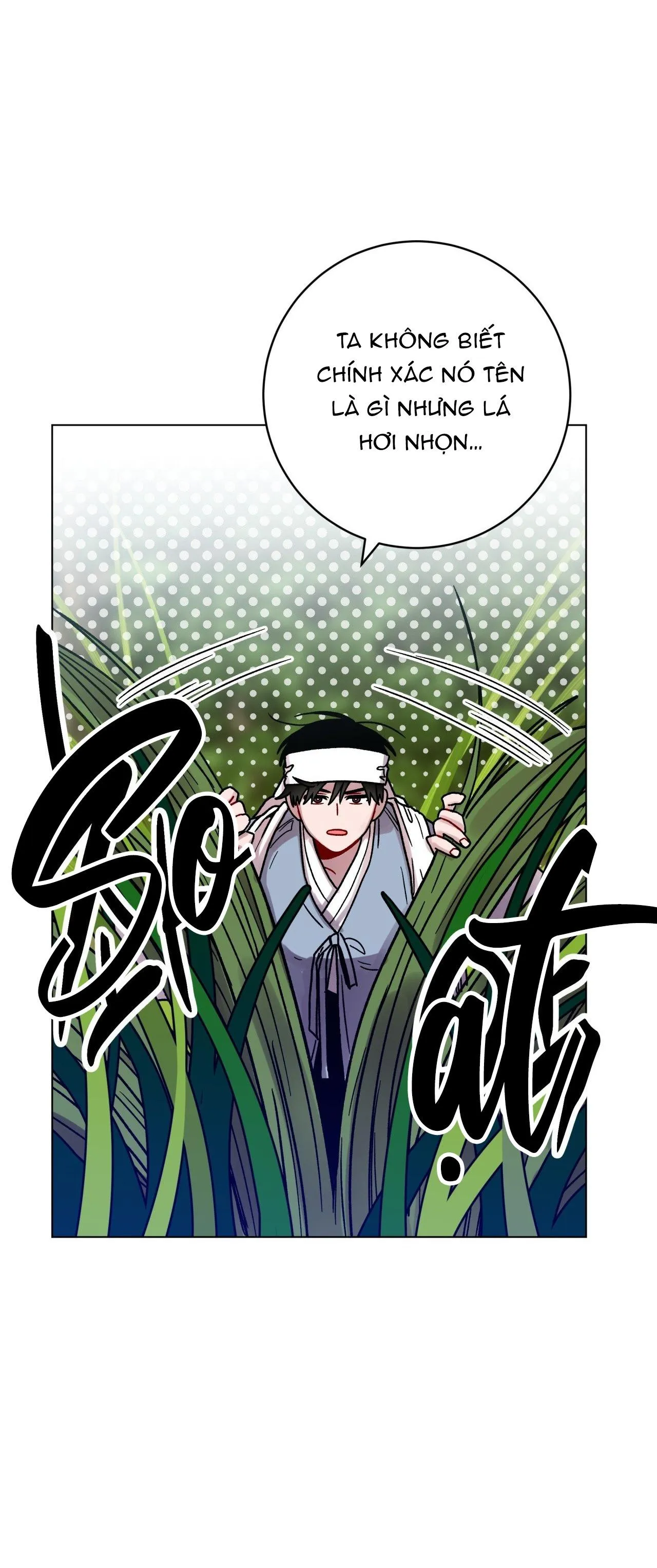 CƠN MƯA RÀO MÙA HẠ Chapter 87 Trang 28