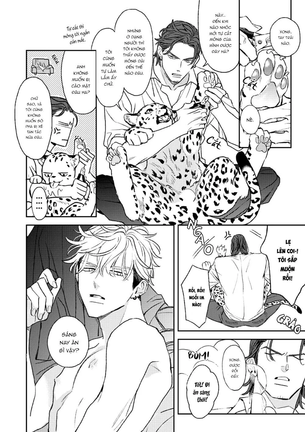 Con Ngươi Tựa Hổ Phách Chapter 2 Trang 6