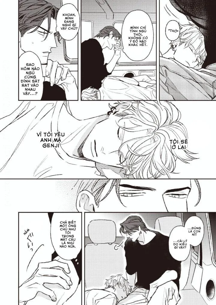 Con Ngươi Tựa Hổ Phách Chapter 4 Trang 4