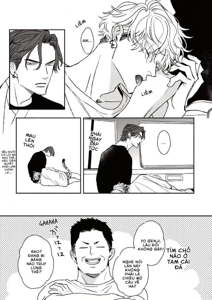 Con Ngươi Tựa Hổ Phách Chapter 4 Trang 5