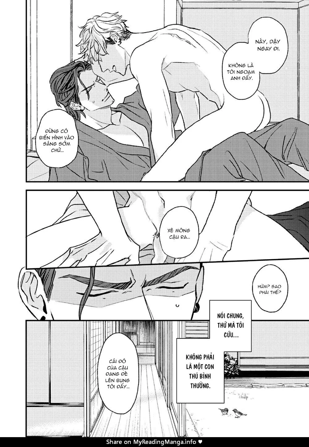 Con Ngươi Tựa Hổ Phách Chapter 1 Trang 11