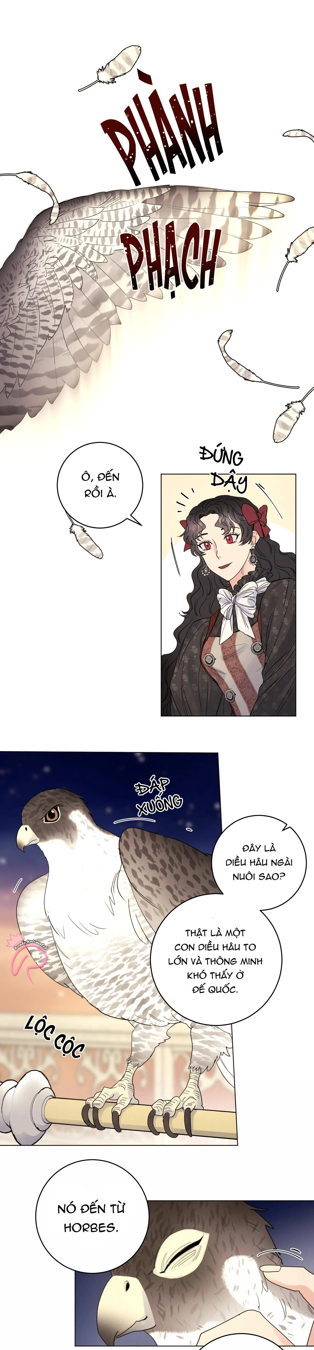 CON RỐI CỦA NGÀI HẦU TƯỚC Chapter 52 Trang 16